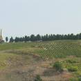 Obelisco Garibaldi  (bivio) km 124