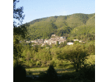 Montieri